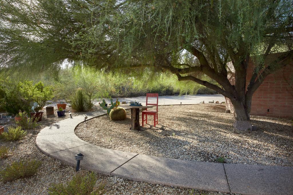 Cactus Cove Bed And Breakfast Inn Tanque Verde Exterior photo