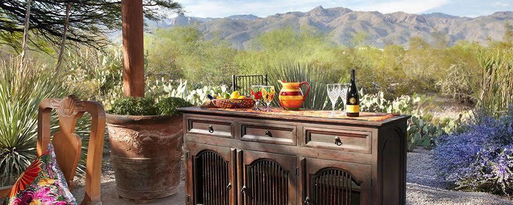 Cactus Cove Bed And Breakfast Inn Tanque Verde Exterior photo